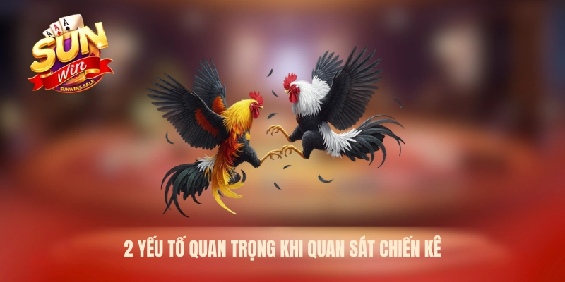 2 yếu tố quan trọng khi quan sát chiến kê